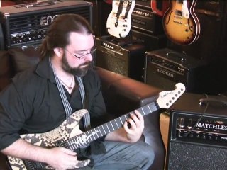 Washburn - N4 Snakeskin Nuno Bettencourt signature guitar