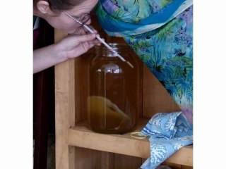 Kombucha Recipe - 5 Simple Steps... How To Make Kombucha Tea with Kombucha Kamp