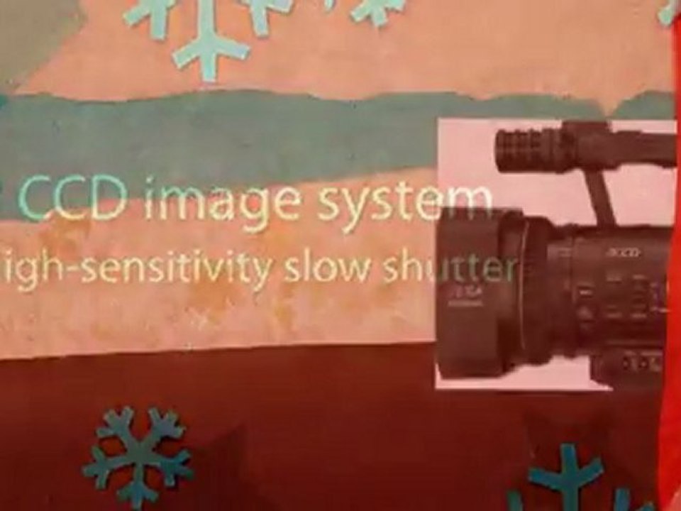 Panasonic Pro AG-DVX100BP(S) 3-CCD MiniDV Proline ...