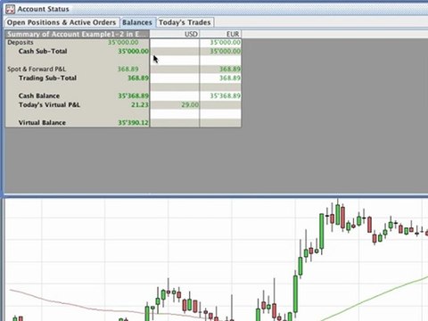6/9 Account status window on the Forex trading platform