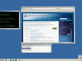 Demo video: Spying Internet Explorer 8.0