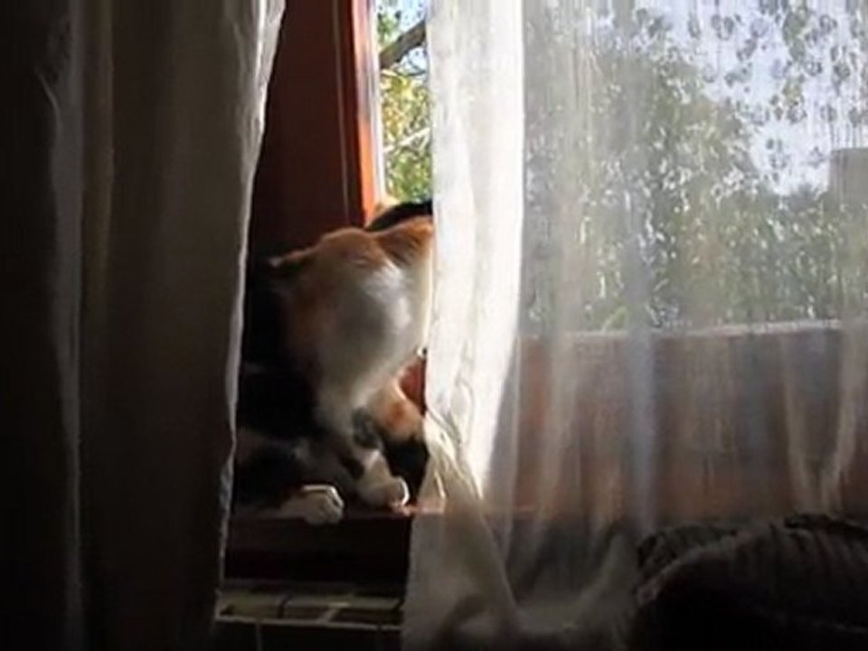 Olga et le rideau 16 oct 2011