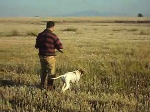 lord bıldırcın avı 20011