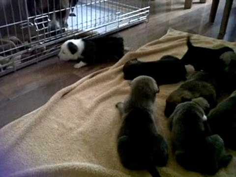 VID 00012-20111019-1239