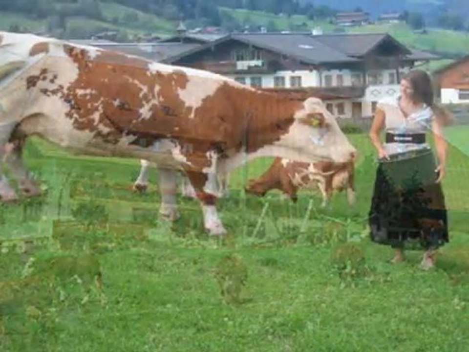 Troglauer Buam    (Bauer sucht Frau)