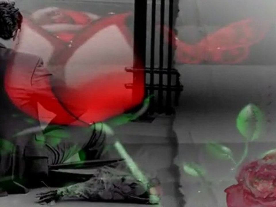 Une Fleure rien qu´un Rose