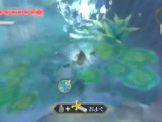 The Legend of Zelda: Skyward Sword  (WII)