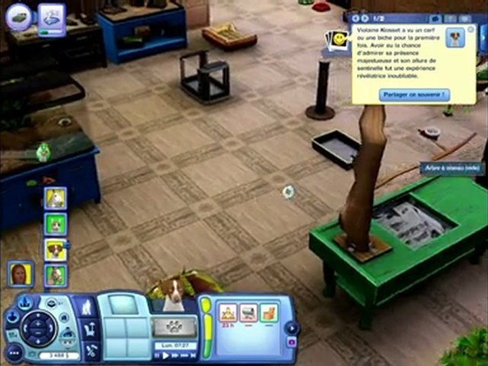 Vidéo-test - Sims 3 Animaux & Cie - Partie 2 [PC]