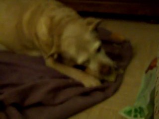 dernieres photos d'olgane 008