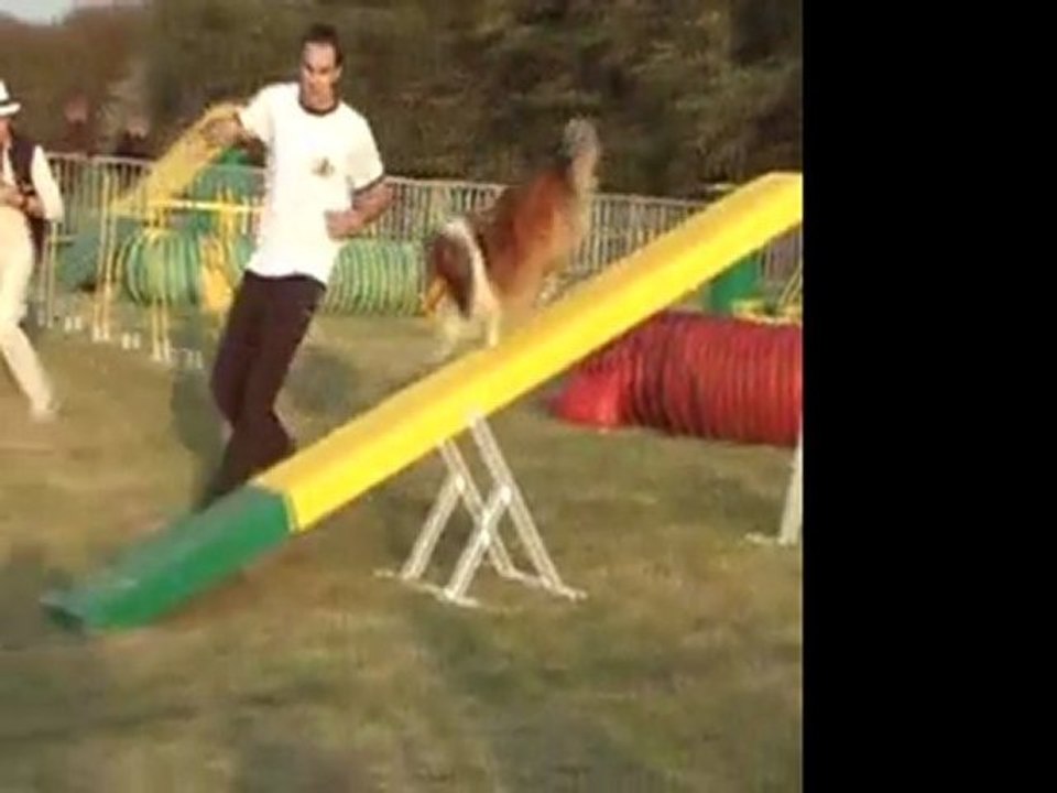 Auchy 2011 Dolmen.wmv.AVI