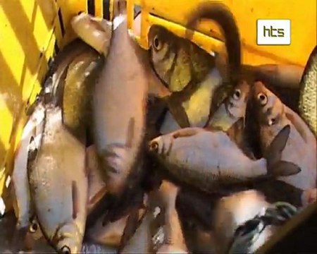 270 emisja Sroda 19.10.2011 czesc 3