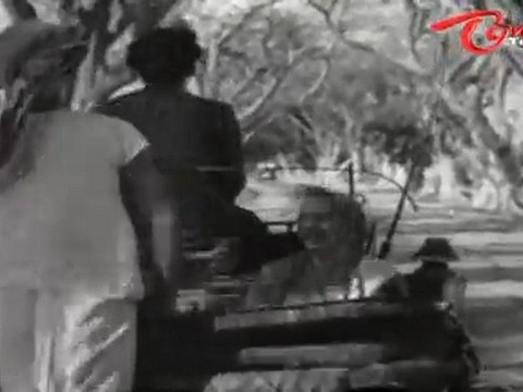 Old Hit Songs | Devadasu Movie | Palleku Podham Song | ANR | Savitri