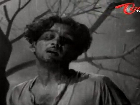 ANR Old Songs| ANR Devadasu Movie | Kudi Yadamaithe Song | ANR | Savitri