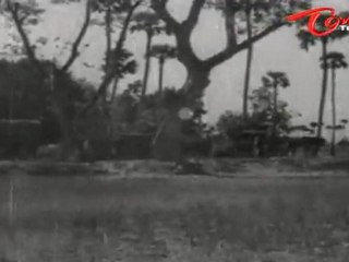 Old Songs| Devadasu Movie | Kala Idhani Song | ANR | Savitri