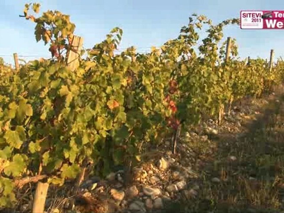 Malgré les crises dans les filières viticole et arboricole le nombre d’offres d’emploi est en constante augmentation