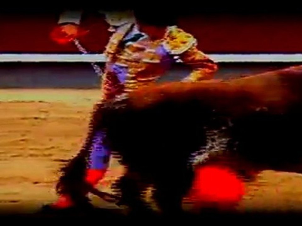 TALAVANTE Y CERVATO