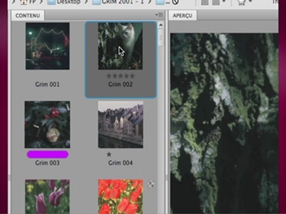 Adobe Photoshop ps-perf-060-01 - Formation par Thierry Dambermont