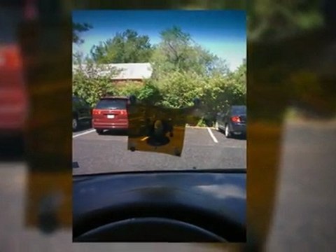 65340 auto glass installation