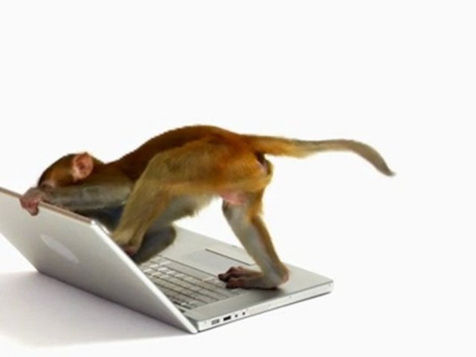 Sweets 'n' Candy Web Monkey
