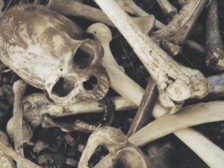 Dry Bones