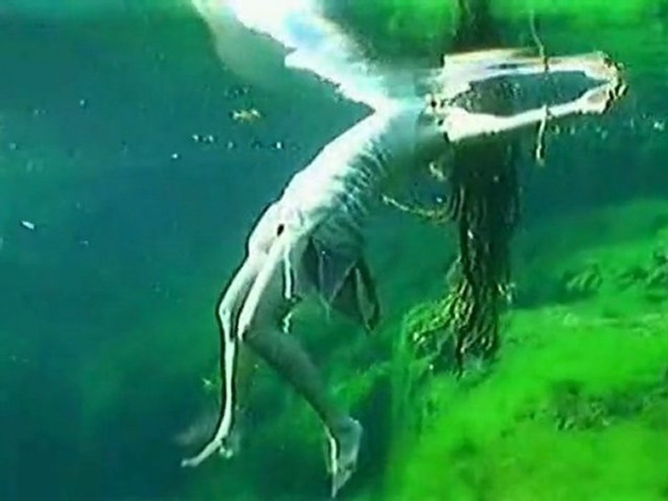 DobaCaracol - Étrange