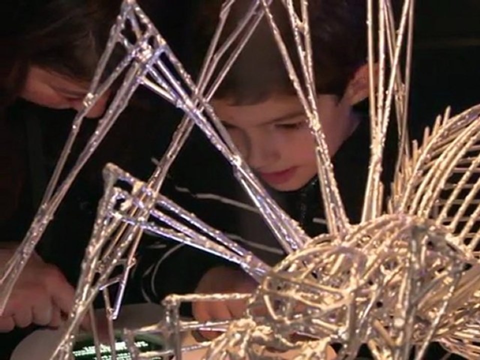 Spinnen - zum fürchten schön