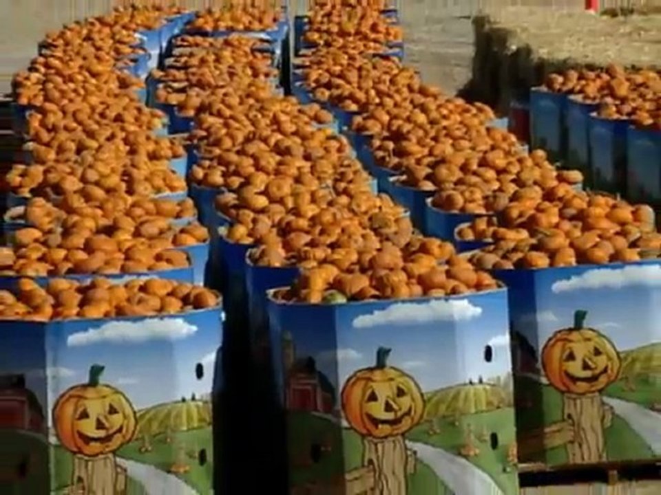 The Power of Pumpkins