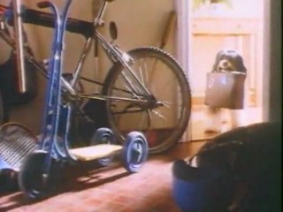 Best and Worst dogs ever ads & parodies