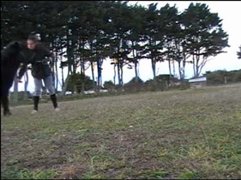 octobre 2011 pas espagnol les débuts Gandy