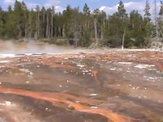 Lower geyser basin