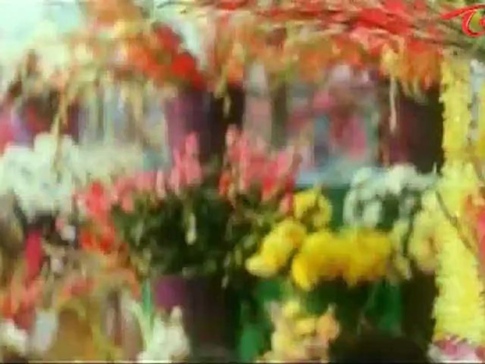 NTR Romantic Comedy With Amishapatel