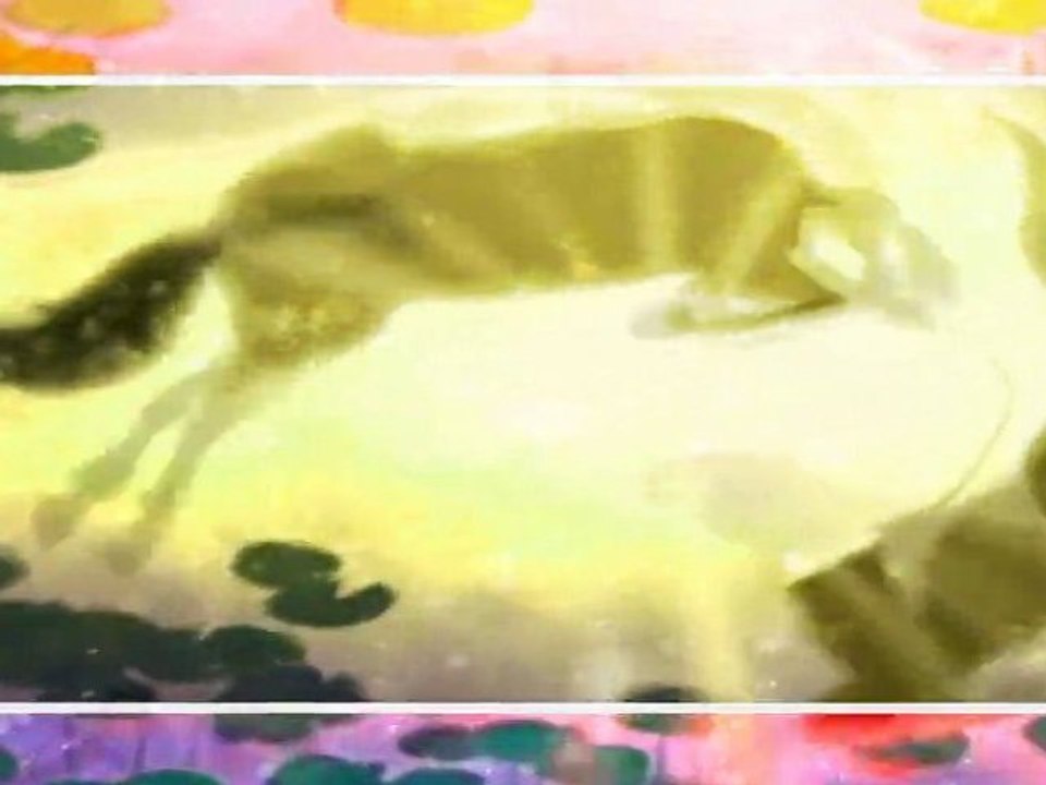 My First Animash Preview || Read Description