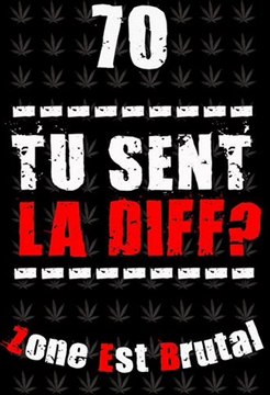 Larsenal Feat Boud'Shit - Notre Epoque - Zone Est Brutale (extrait de l'album de Larsenal les epreuves de la vie )