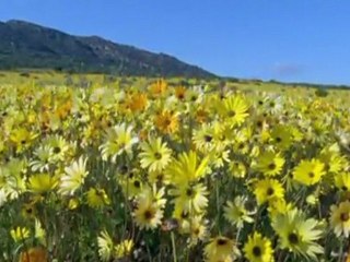 Planète Terre (Ep.N°7) -Les grandes plaines