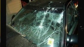 65248  windshield repair shop
