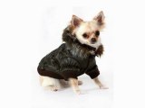 Dog Coats for Small Dogs