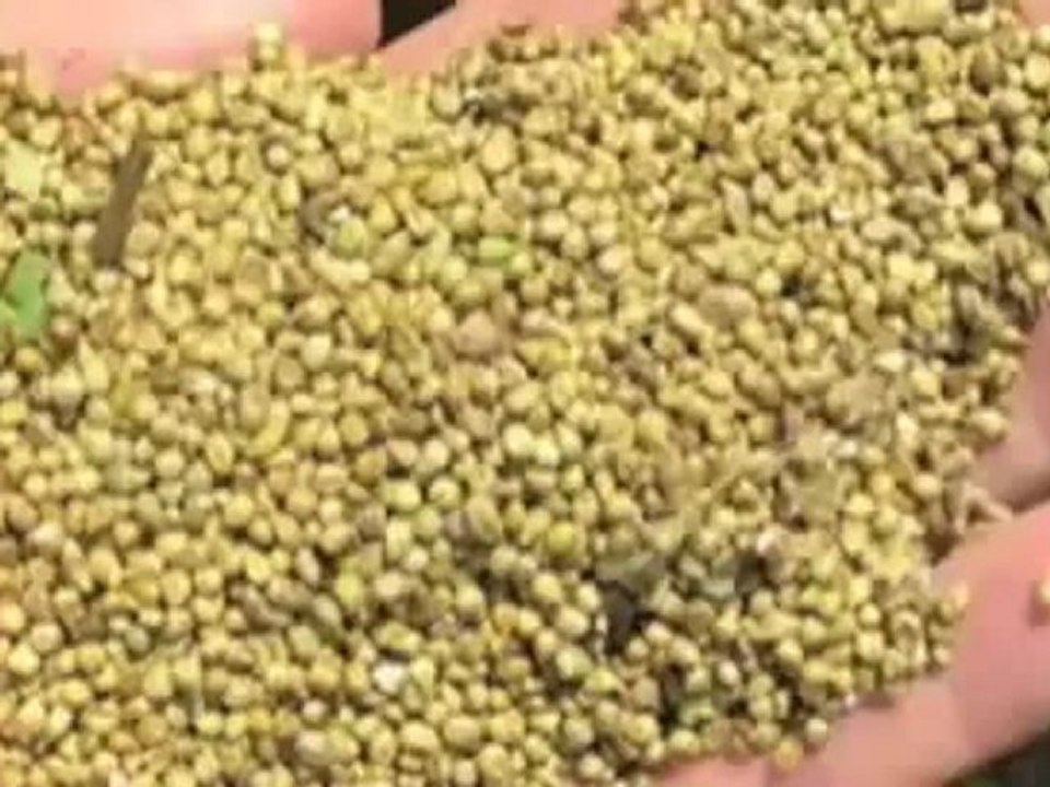 The Diet Solution Program Meal Plans For Diet