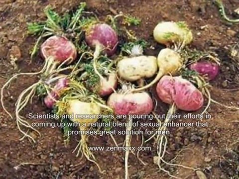 Natural Herbal Remedies for Erectile Dysfunction?