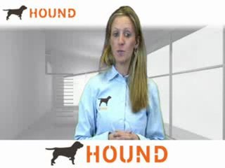 Download Video: Compliance Director Jobs, Compliance Director Careers, Employment | Hound.com