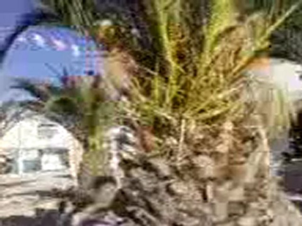 municipalité avenue tahar sfar hiboun mahdia tunisie