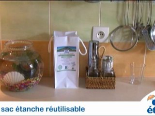 Absorbeur d'humidité - Sain, écologique et naturel - Réutilisable et déco