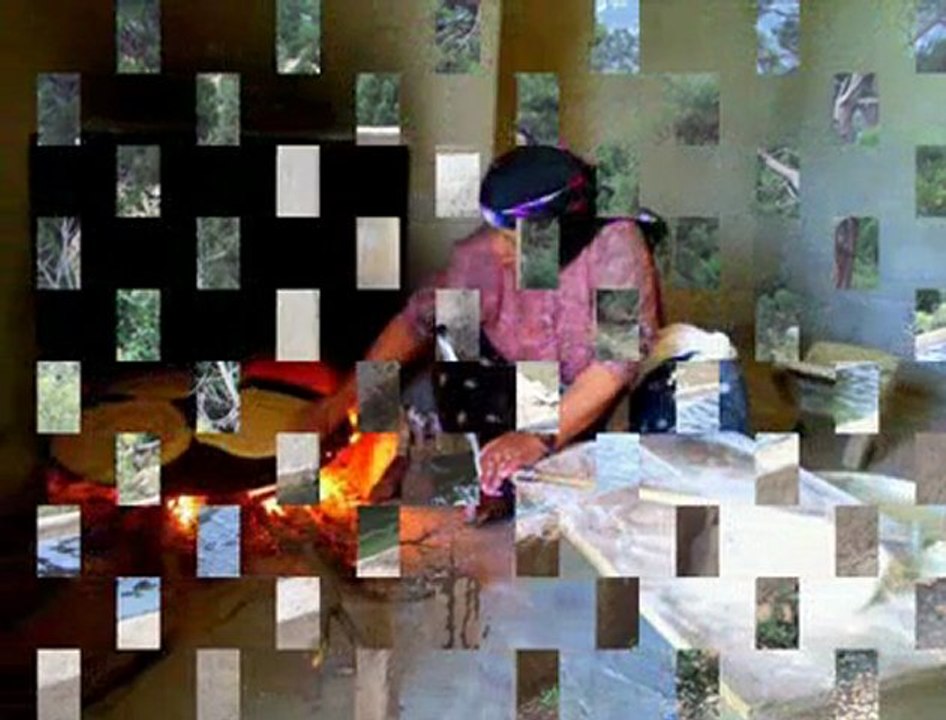 1823475046443_21297