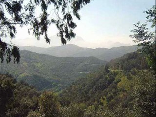 Ma truḥeḍ a gma awi-yi...(Mohamed Chamoune)