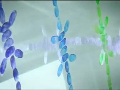 OTTO le gardien de l'art contemporain à la FIAC 2011 - Mircea Cantor