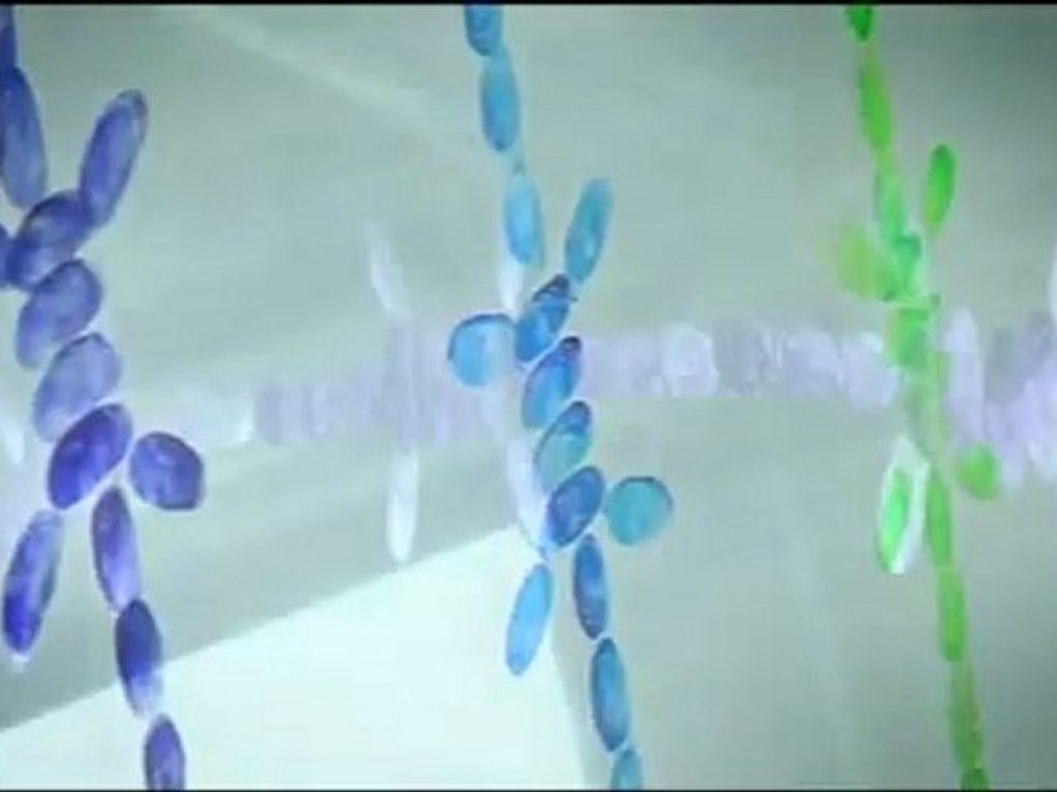 OTTO le gardien de l'art contemporain à la FIAC 2011 - Mircea Cantor