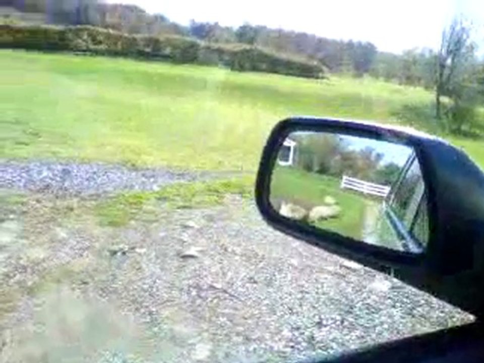 FamilyIQ Business and Opportunity teaches us to not bug our Family and Friends