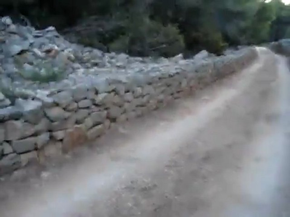 Tavşan Yüksek Atlama - Avyaban.com - Ergo