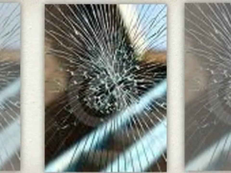 64473  auto glass replacement shop