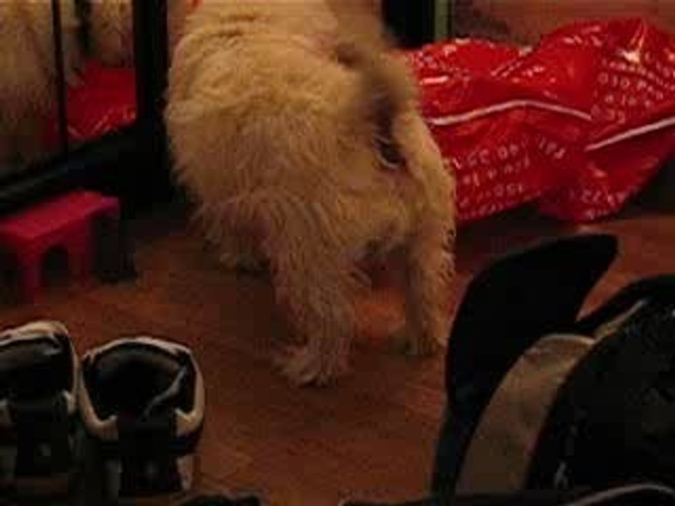 Photo 027