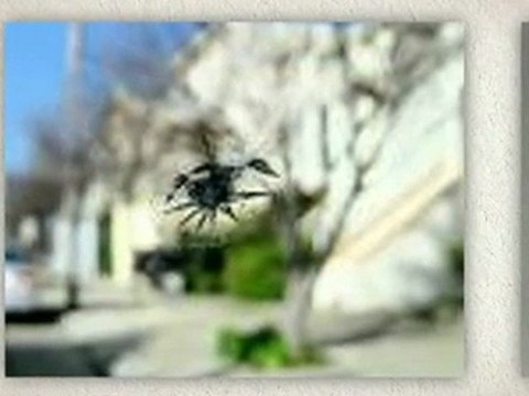 27569 auto glass quote